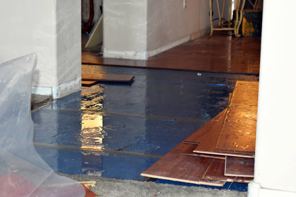 Professional Basement Flood Cleanup technician working in Joshua Tree, CA